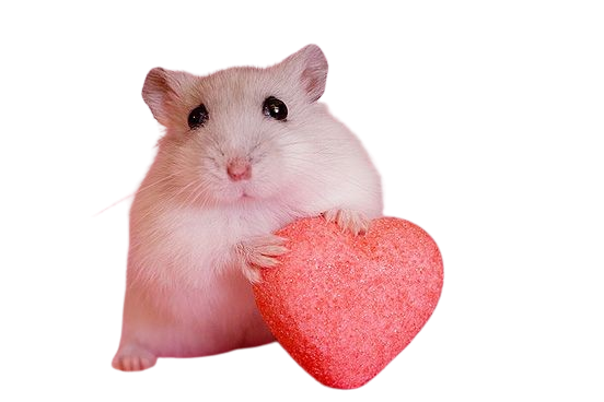 Dont Question how this was made